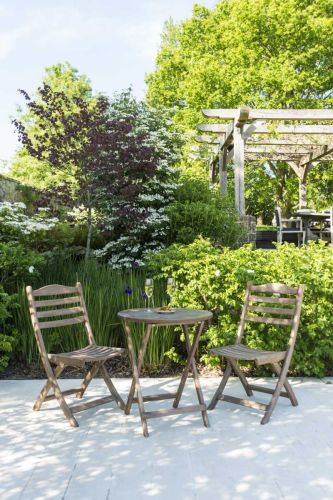 Alexander Rose Sherwood Acacia Tea for Two Set