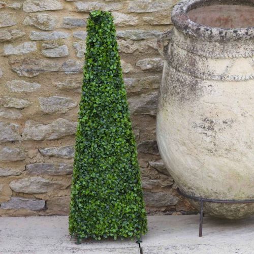 60cm Topiary Boxwood Obelisk