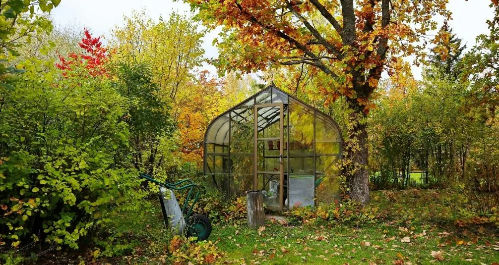 Outdoor Greenhouses and Garden Buildings