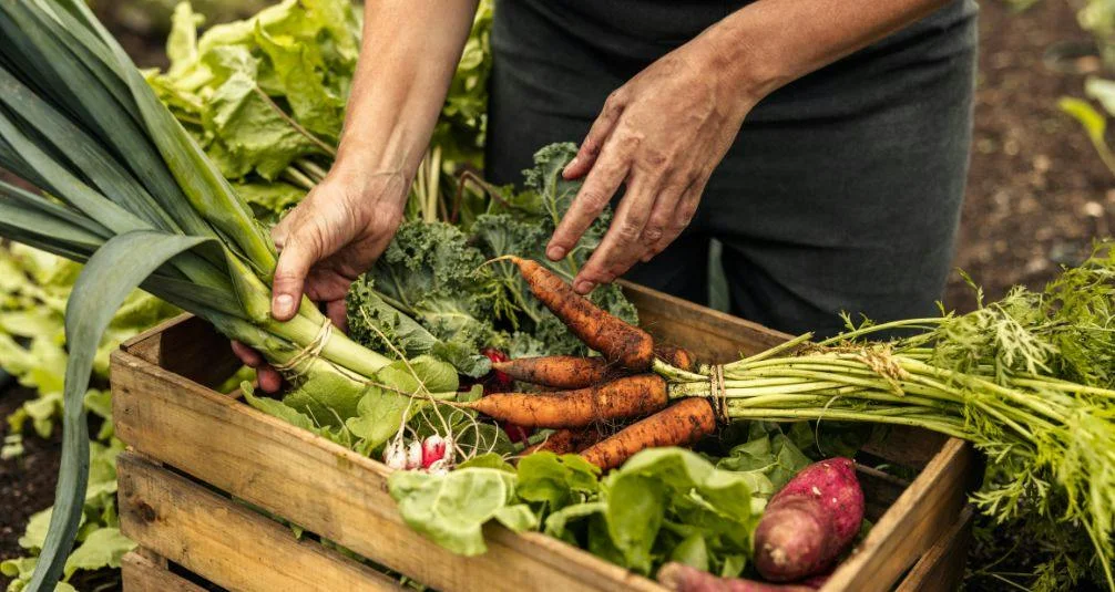 growing your own fruit and vegatables
