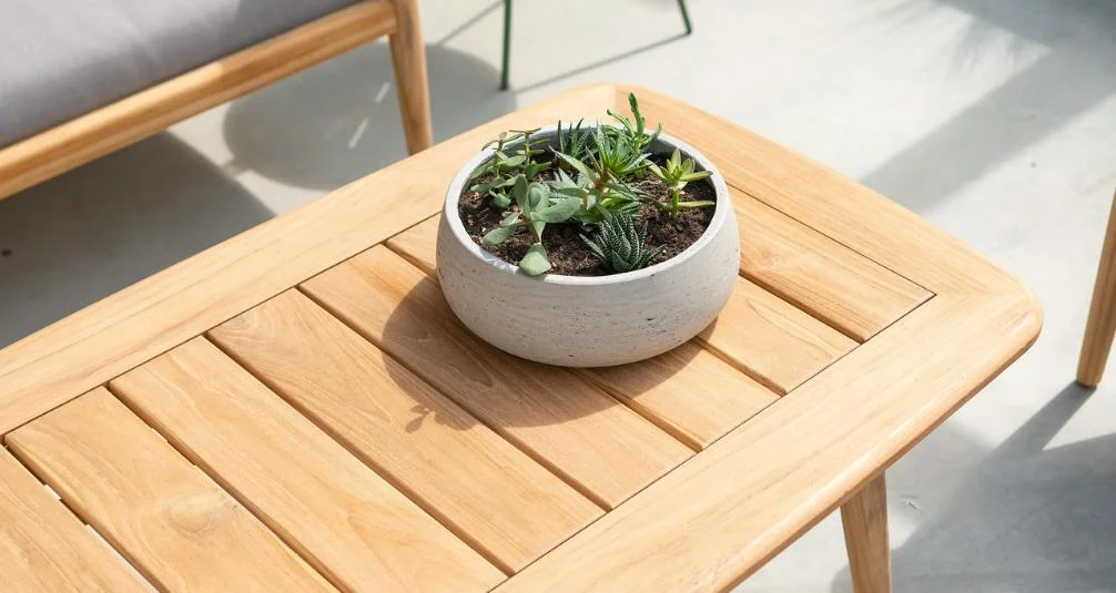 Top 5 Wooden Furniture Trends in 2024